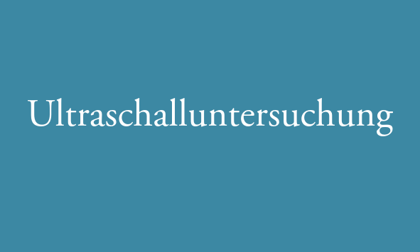 Ultraschalluntersuchung